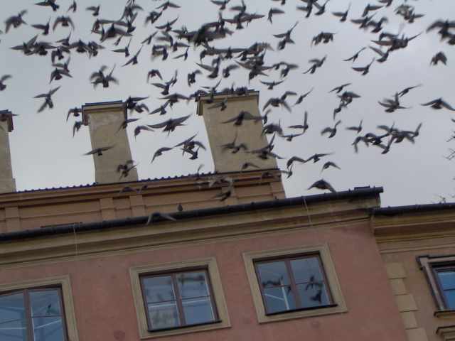 Kliknij, aby powiększyć fotkę.