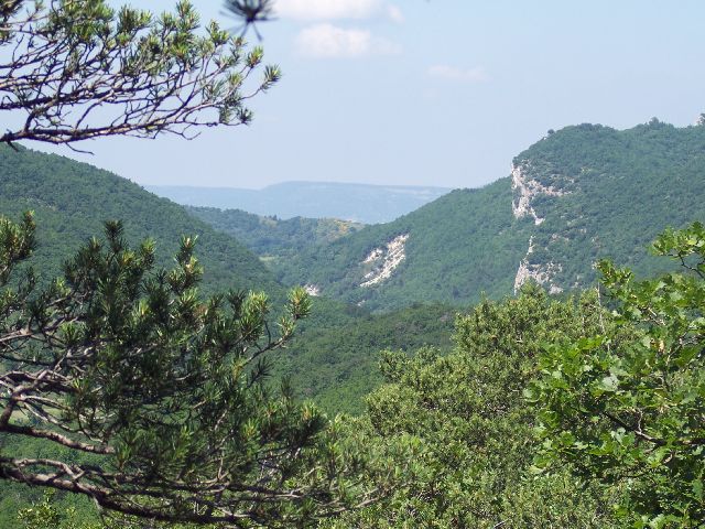 Kliknij, aby powiększyć fotkę.