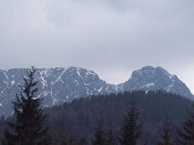 Kliknij, aby powiększyć fotkę.