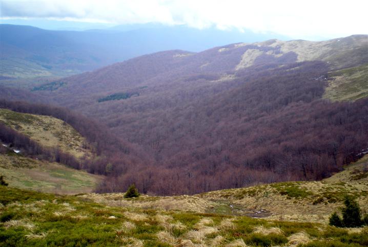 Kliknij, aby powiększyć fotkę.