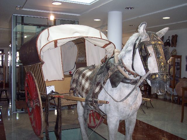 Kliknij, aby powiększyć fotkę.