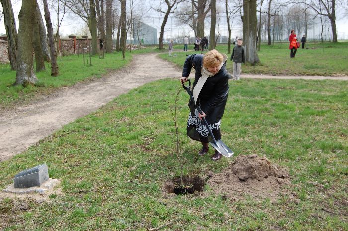 Kliknij, aby powiększyć fotkę.