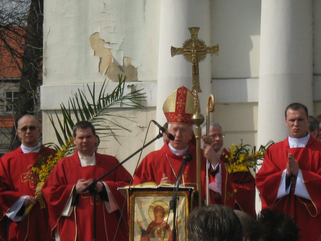 Kliknij, aby powiększyć fotkę.