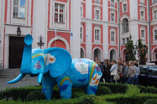 Kliknij, aby powiększyć fotkę.