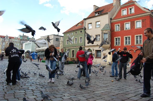 Kliknij, aby powiększyć fotkę.