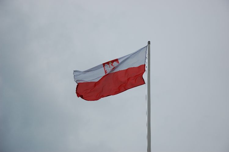 Kliknij, aby powiększyć fotkę.