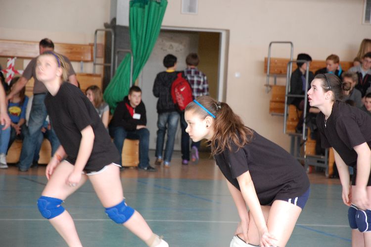 Kliknij, aby powiększyć fotkę.
