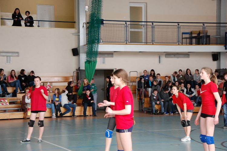 Kliknij, aby powiększyć fotkę.