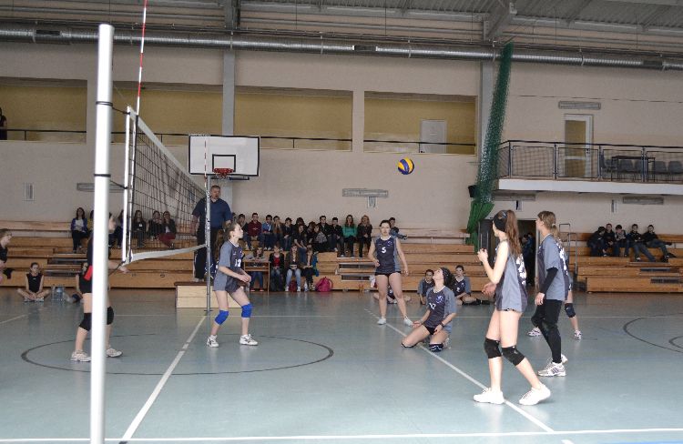 Kliknij, aby powiększyć fotkę.