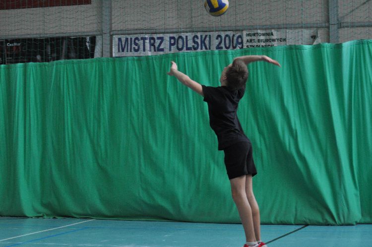 Kliknij, aby powiększyć fotkę.
