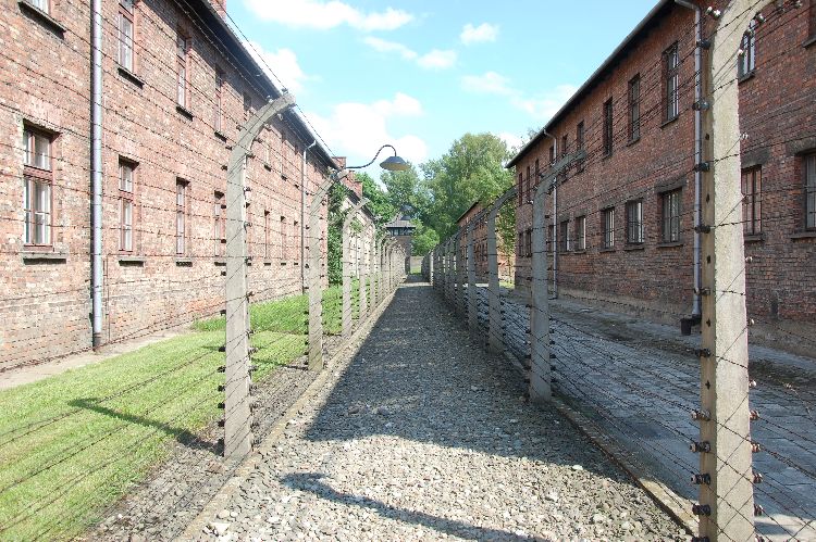 Kliknij, aby powiększyć fotkę.