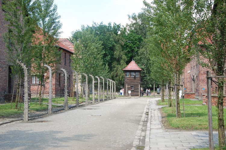 Kliknij, aby powiększyć fotkę.