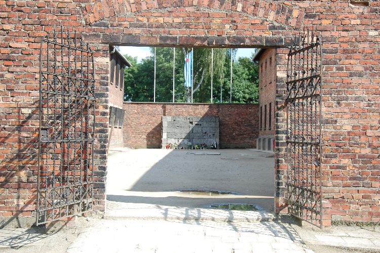 Kliknij, aby powiększyć fotkę.