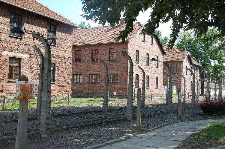 Kliknij, aby powiększyć fotkę.