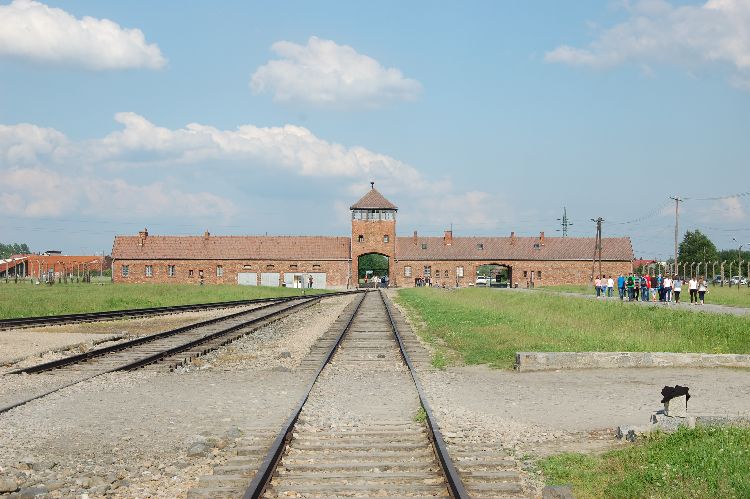 Kliknij, aby powiększyć fotkę.