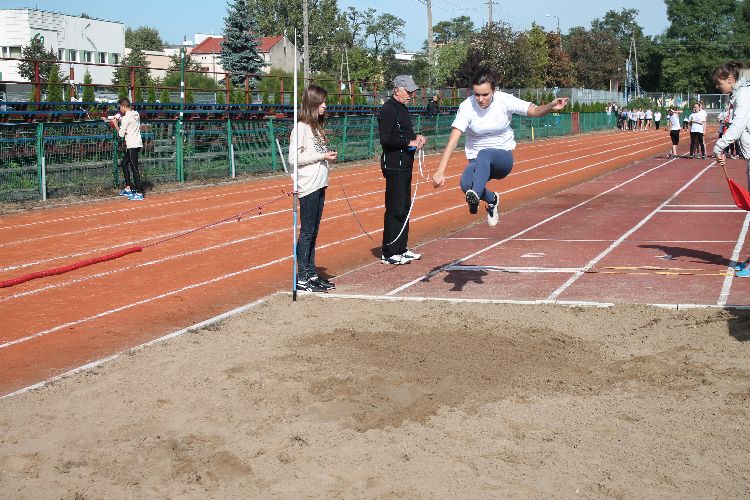 Kliknij, aby powiększyć fotkę.