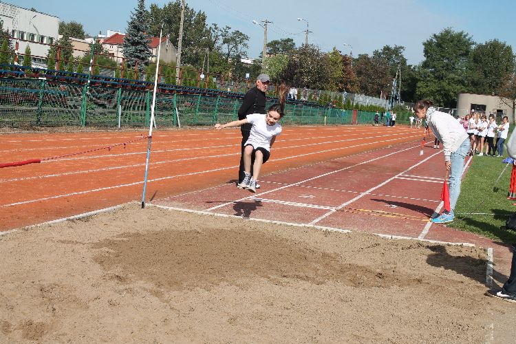 Kliknij, aby powiększyć fotkę.