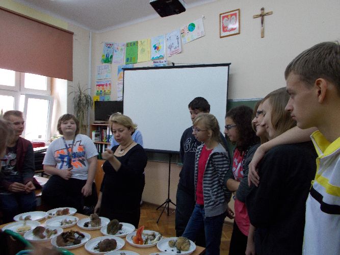 Kliknij, aby powiększyć fotkę.