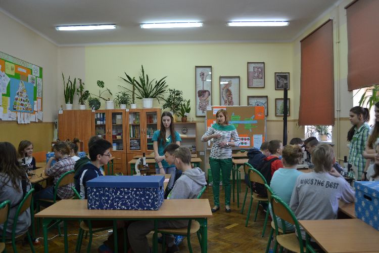 Kliknij, aby powiększyć fotkę.