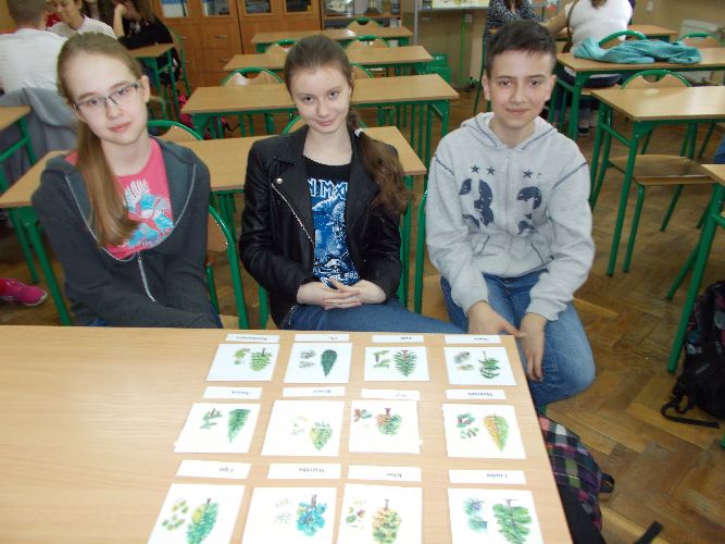 Kliknij, aby powiększyć fotkę.