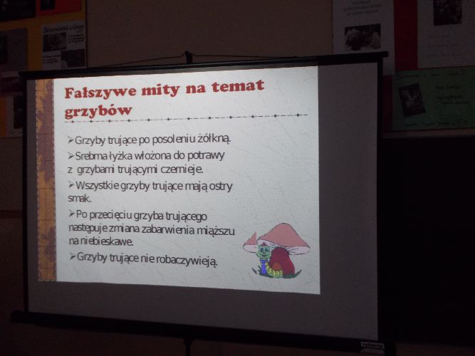 Kliknij, aby powiększyć fotkę.
