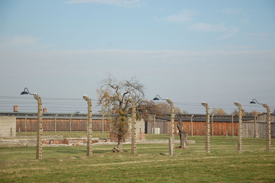 Kliknij, aby powiększyć fotkę.