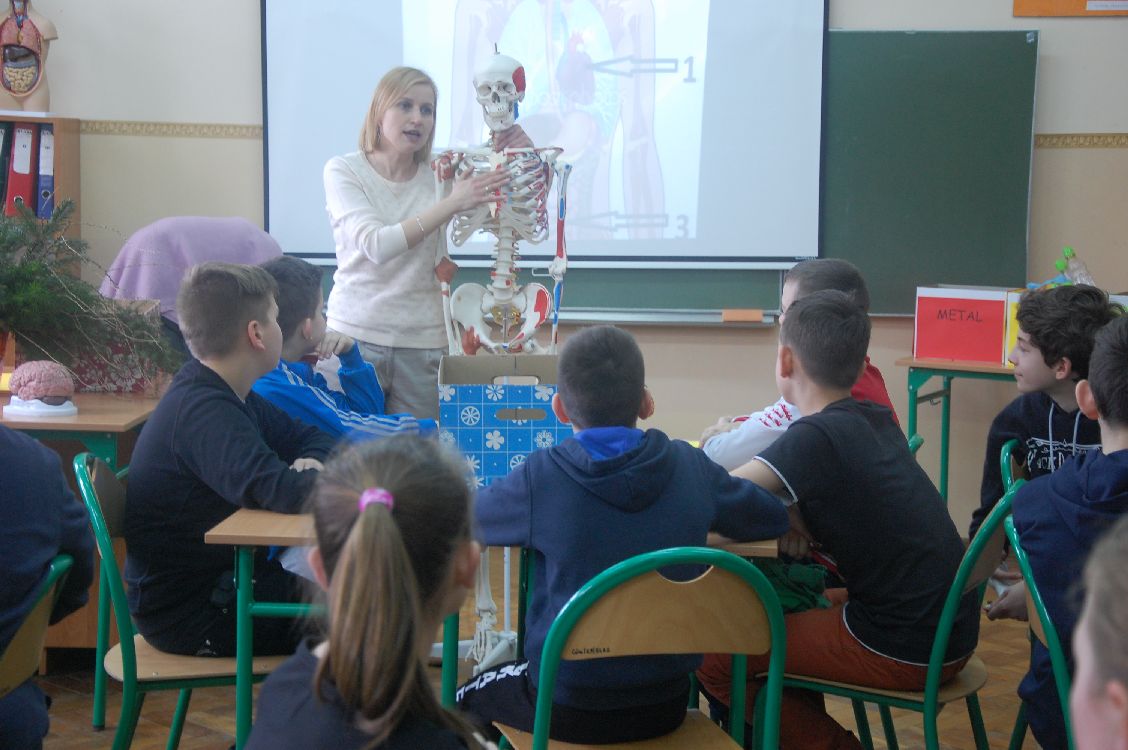 Kliknij, aby powiększyć fotkę.