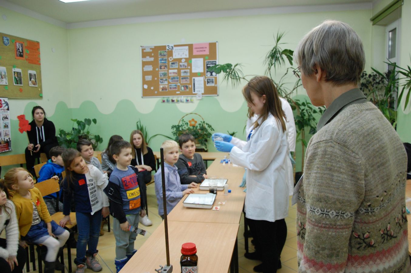 Kliknij, aby powiększyć fotkę.