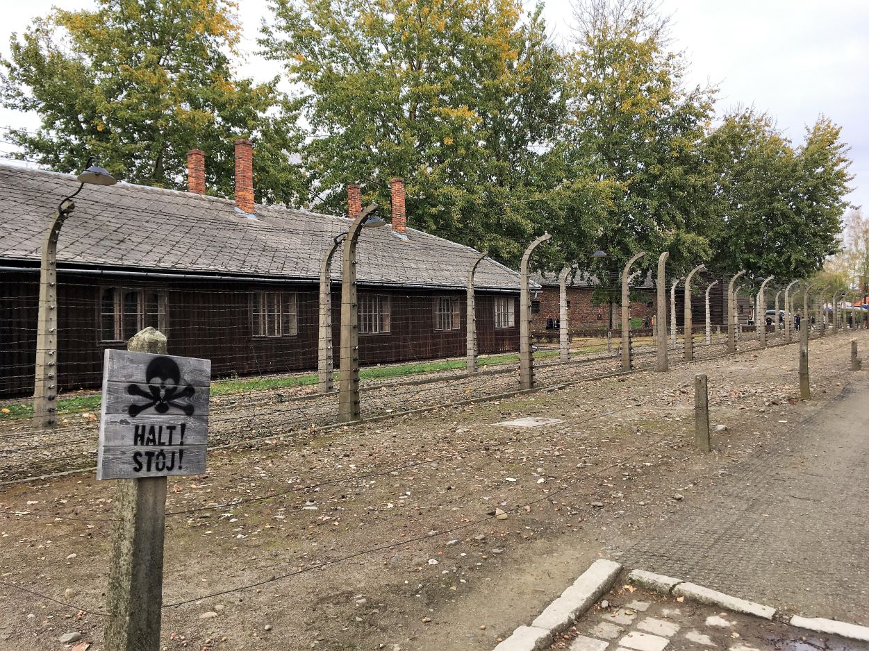Kliknij, aby powiększyć fotkę.