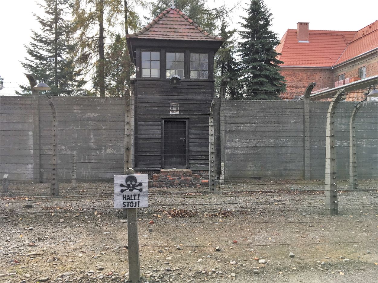 Kliknij, aby powiększyć fotkę.