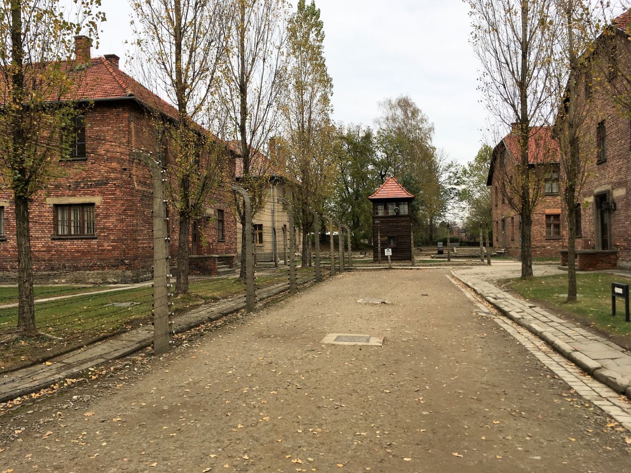 Kliknij, aby powiększyć fotkę.
