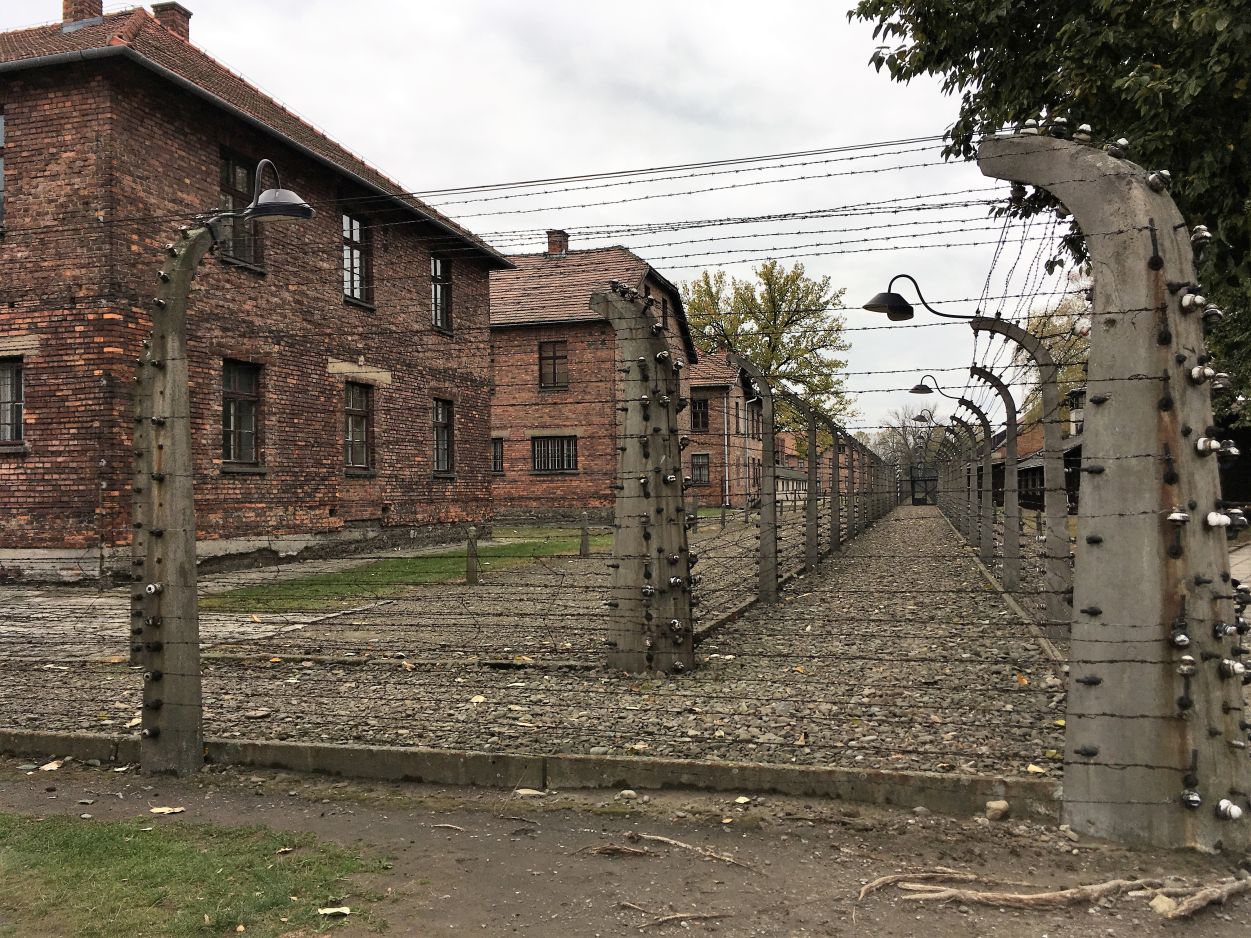Kliknij, aby powiększyć fotkę.